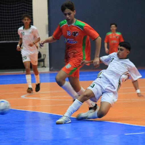Event cover Futsal - Ferraz x Suzano (Masculino) - Copa So Paulo