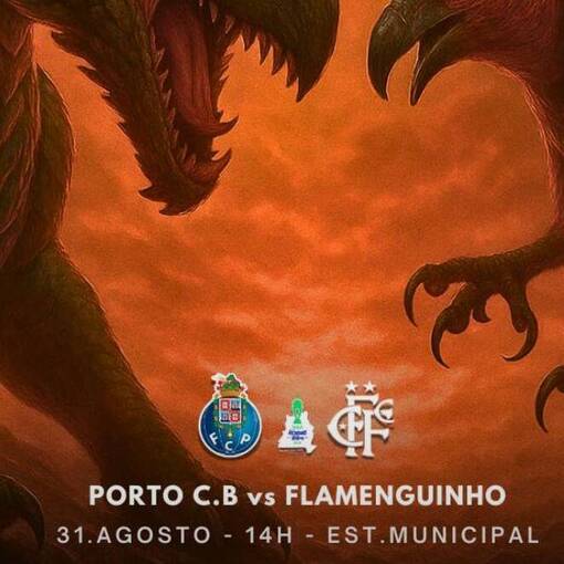 FLAMENGUINHO VS PORTO on Fotop