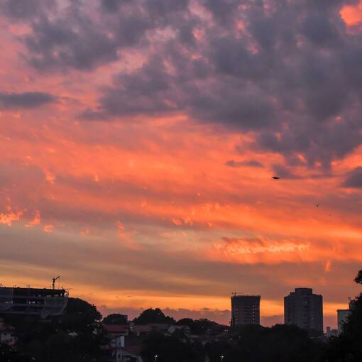 Pq Dom Quixote - tera feira - noite - Sorocaba  no Fotop