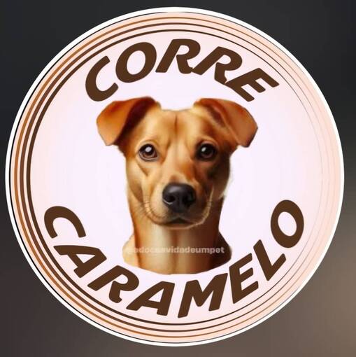 CORRE CARAMELO _ 1 ANO DE CORRE*  on Fotop