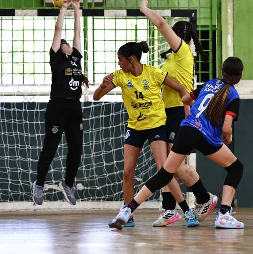 Event cover CAMPEONATO HANDBAAL   ( Sorocaba vs So Jos dos Campos )  