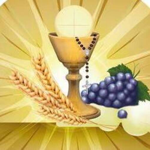 Copertura dell'evento 1 Comunho Parquia Sagrada Famlia