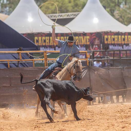 Portada del evento Team Roping - Diamantino