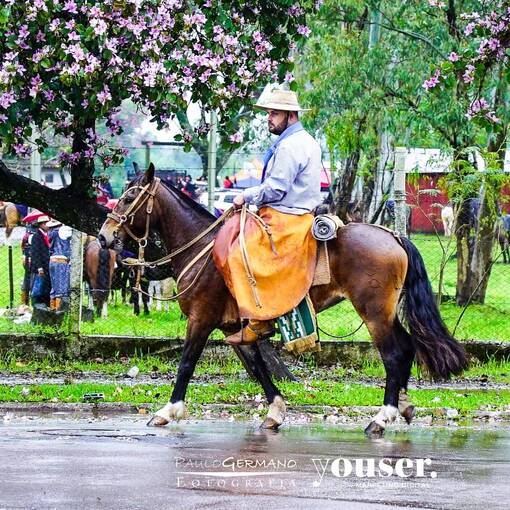 Copertura dell'evento CONCENTRAO - DESFILE 20 DE SETEMBRO