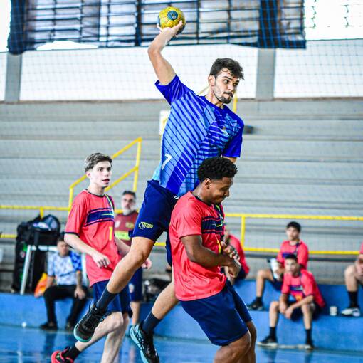 Capa do evento HANDEBOL - L.H.I.