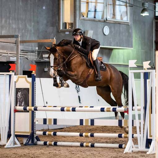 Event cover Hsthoppet rebro Ryttarteam Sndag 12:e Oktober