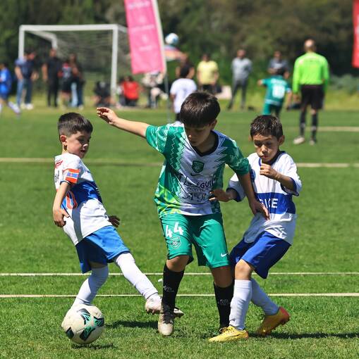 Event cover Fa Cup Chile #Laliga  Malloco 28/09/2025