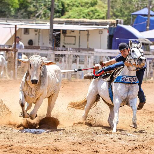 Event cover Dia do Cavalo - 3 Tambores, Vaquejada e Prova do Lao