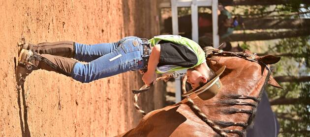 Event cover 1 COPA DE MARCHA  DO HARAS PERHAM
