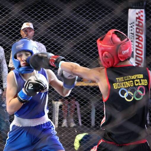 Event cover BOXEO FANSFITEXPO