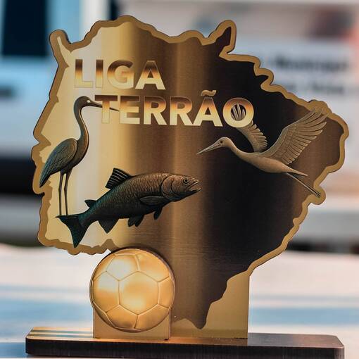 Event cover Liga terro estadual (FINAL)