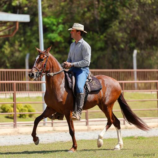 Event cover Poeiro Itabirito