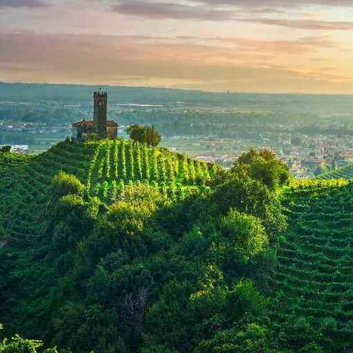 Event cover Trail del Prosecco Superiore 2025