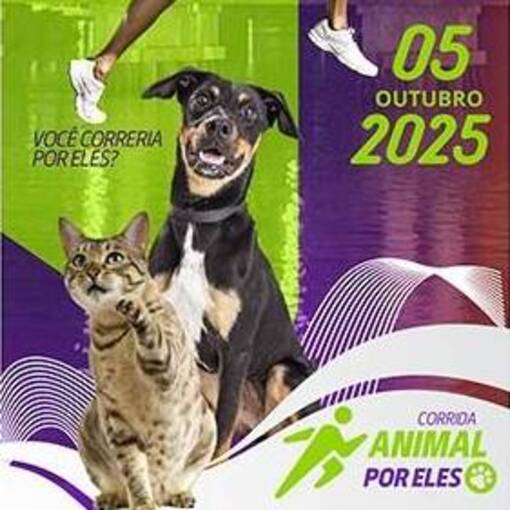 Event cover CORRIDA ANIMAL 
