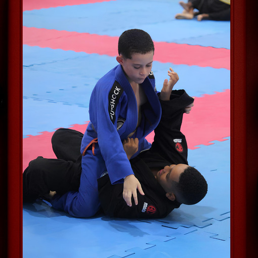 Event cover Festival de Artes Marciais 