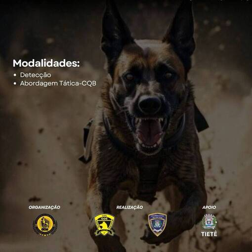Event cover 15 Campeonato Nacional de Ces de Policia das Guardas Civis Municipais 