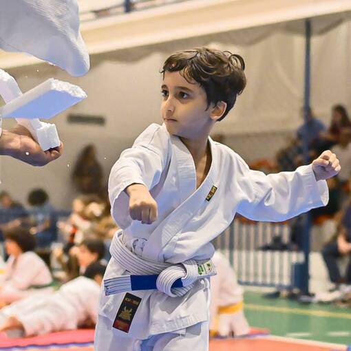 Event cover Festival de Karat do CSP