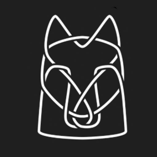 Copertura dell'evento ELO CF