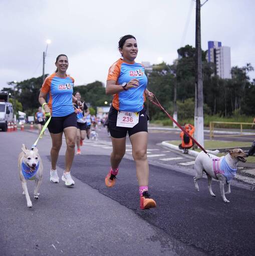 Capa do evento Pet + Run