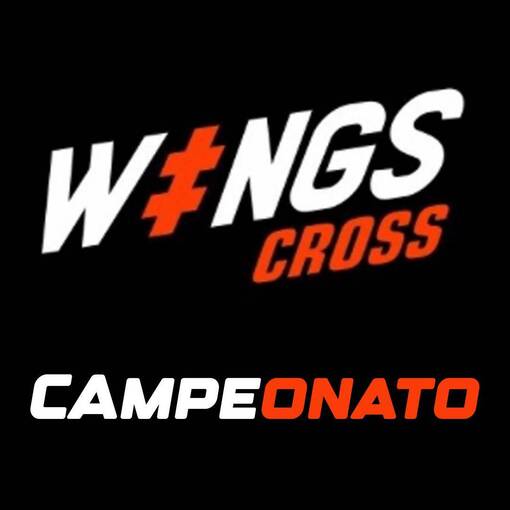 Copertura dell'evento WingsBH campeonato 