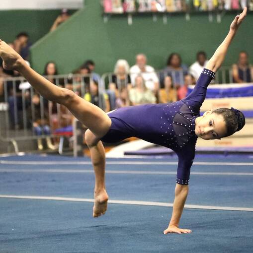 Event cover TORNEIO ESTADUAL DE GINSTICA ARTSTICA 2025 - FUTEL (MANH)