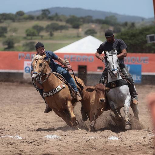 Event cover Vaquejada Parque Pedro Henrique