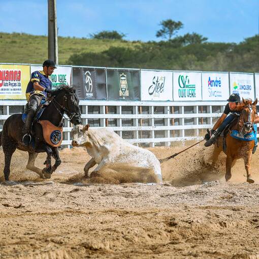 Capa do evento 3 Etapa do Circuito de Vaquejada Ouro Verde