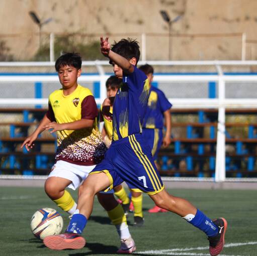 Event cover Copa de Campeones Infantil 2025 Arfa V regin Santa Ines vs Pedro Montt
