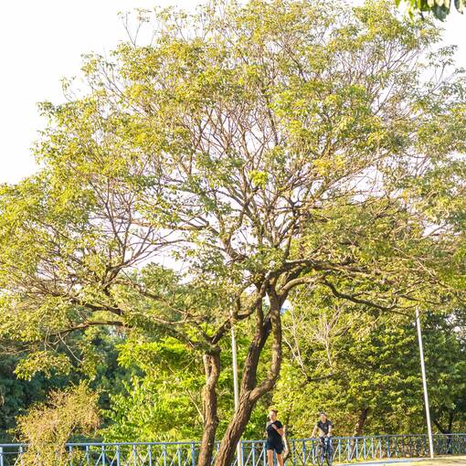 Event cover Marginal Dom Aguirre domingo Sorocaba 