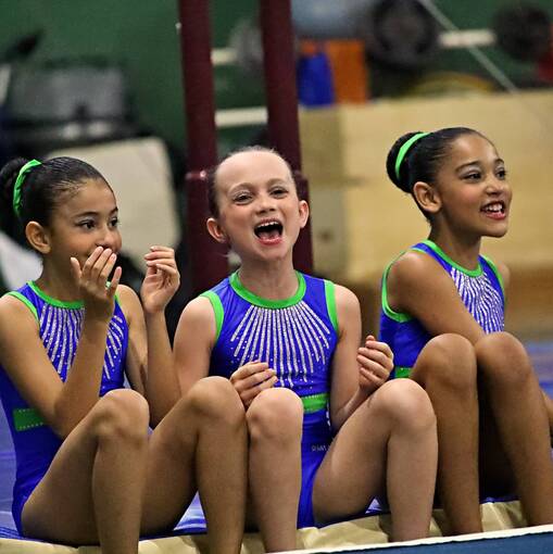 Event cover TORNEIO ESTADUAL DE GIN�STICA ART�STICA 2025 - P.M. LAGOA SANTA (MANH�)