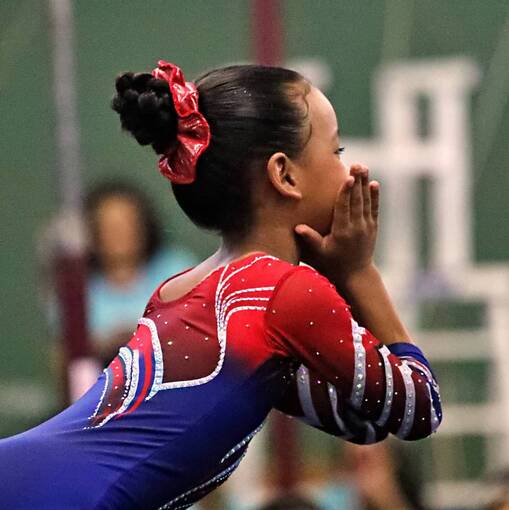 Event cover TORNEIO ESTADUAL DE GIN�STICA ART�STICA 2025 - UFMG (MANH�)