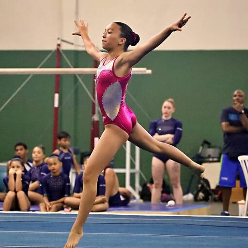 Event cover TORNEIO ESTADUAL DE GIN�STICA ART�STICA 2025 - DIAMONDS (TARDE)