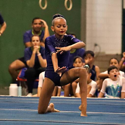 Event cover TORNEIO ESTADUAL DE GIN�STICA ART�STICA 2025 - FUTEL (TARDE)