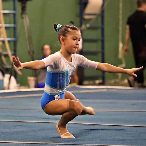 Event cover TORNEIO ESTADUAL DE GIN�STICA ART�STICA 2025 - MINAS T�NIS CLUBE BH