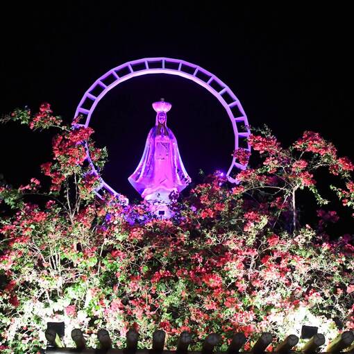 Capa do evento CAMINHADA TRIBUTO & GRATIDO