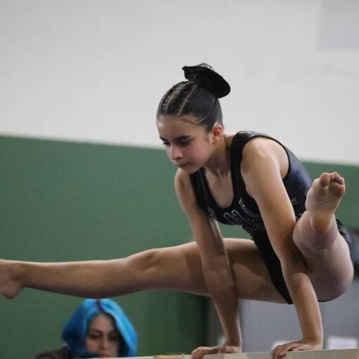 Event cover TORNEIO ESTADUAL DE GINSTICA ARTSTICA 2025 - C.T AMIGOS DO ESPORTE BH (MANH E TARDE)