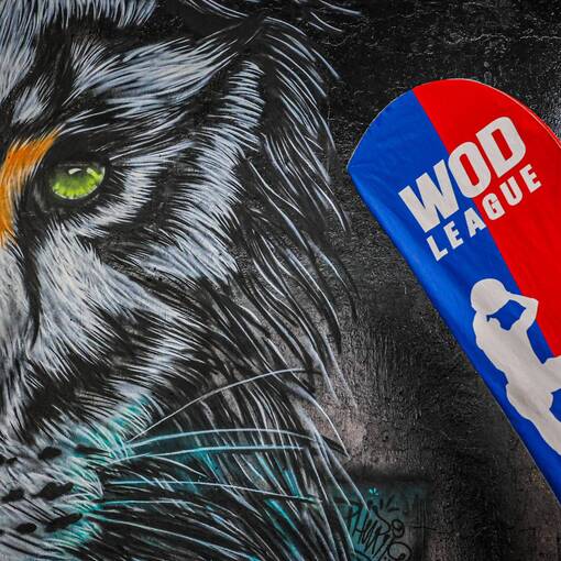 Event cover WOD League My Box Barreira Grande - V. Bancria - So Paulo