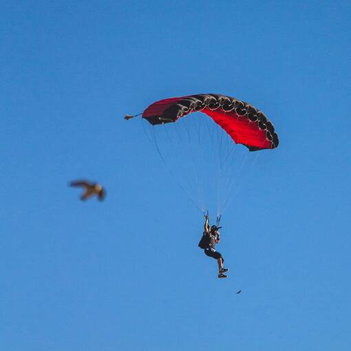 Event cover SKYLINES OUTUBRO 