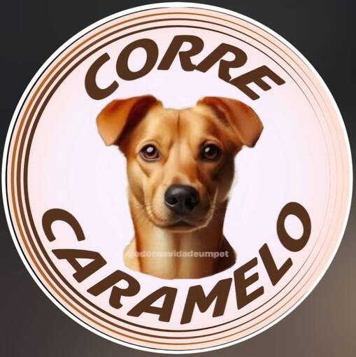 Event cover Meus Treinos  -  Corre Caramelo