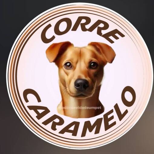 Meus Treinos  -  Corre Caramelo on Fotop