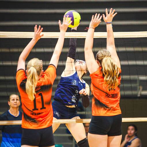 Event cover VOLEI ARARAS X HOLAMBRA - VOLEI FEMININO