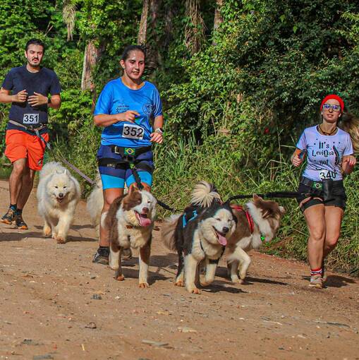 Event cover Torneio Tri Cani - Treino Intermunicipal de Canicross 