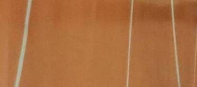 Event cover Estadual Vlei Feminino sub 17 - Silogeu Suzano x Vinhedo (DUPLICADO)