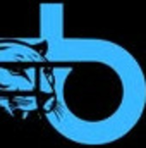 Event cover BLACK PANTHER 24H