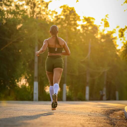 Copertura dell'evento Treino 08-11