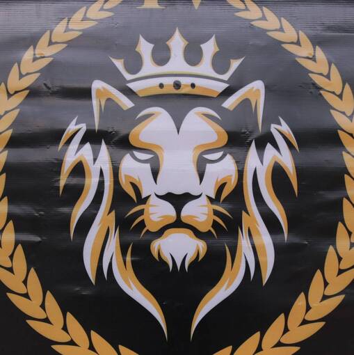 Event cover IV Torneio do Le�o 