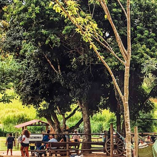 Fazendinha - Legacy Queimados no Fotop