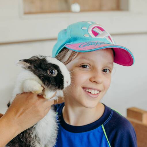 Criatrio Pestana - Colgio Conexo - Sumar no Fotop