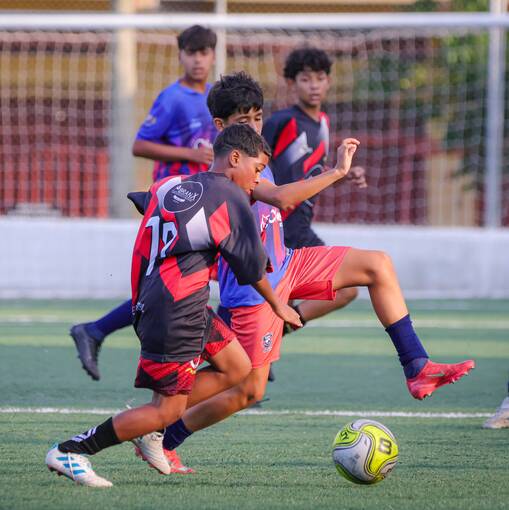 ARENA X SANTA CRUZ  on Fotop