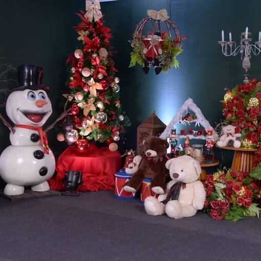 ENCERRAMENTO NATAL SAPIENS 2025 - EDUCAO INFANTIL - 12/11/2025 En Fotop